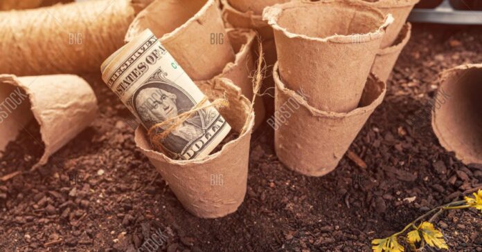 how much should pot cost