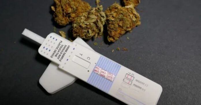 what to use to pass a drug test
