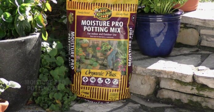 black gold organic potting mix black gold organic potting mix