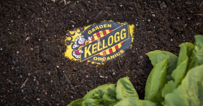 roots organics original potting soil roots organics original potting soil