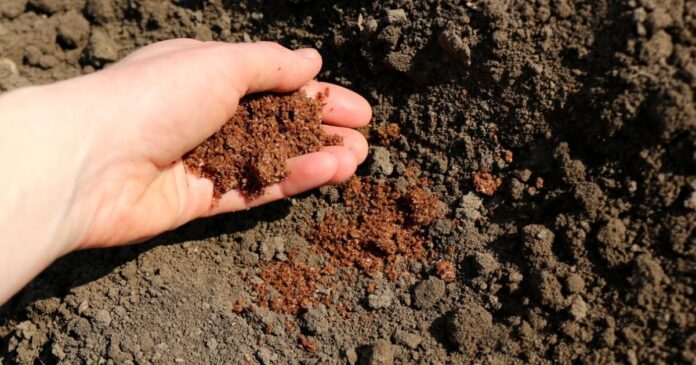 good soil for outdoor weed good soil for outdoor weed