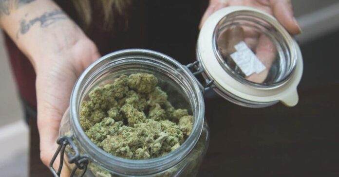 How to check the quality of cannabis online